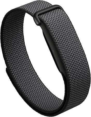 Google Fitbit Air